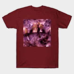 Maroon Ice Tie-Dye T-Shirt